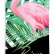 Prism Revel 36" Fauna Longboard Complete