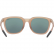 bolle TALENT Mocha Transparent Matte Sunglasses